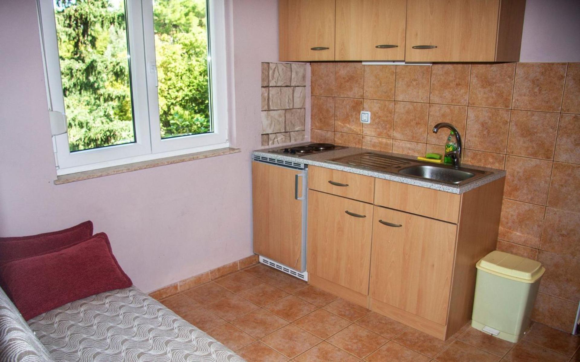 Apartments Dubravko マスレニツァ エクステリア 写真